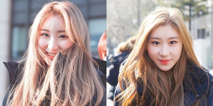 Instiz: Knet lại bàn tán về ngoại hình của IZ*ONE Chaeyeon và Itzy Chaeryeong  