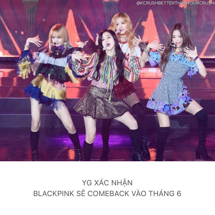 YG cho biết nhóm nữ duy nhất của công ty đang chuẩn bị cho màn comeback vào tháng 6. BLACKPINK hiện được coi là 'tân binh quái vật' khi cả 3 MV "Whistle", "Boombayah" và "Playing with Fire" đều đã đạt hơn 100 triệu views.