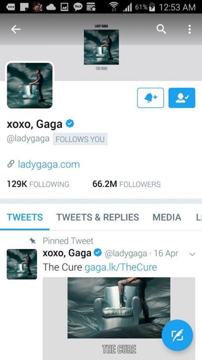 Pann: Điên cmnr, Lady Gaga bấm follow tui kìa....