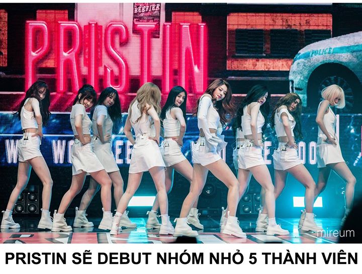 Pledis thông báo nhóm nhỏ này gồm Kyulkyung, Nayoung và 3 thành viên khác. Chào sân trong tháng 5 với concept u tối và mạnh mẽ, khác với concept vui vẻ tươi sáng thường thấy của PRISTIN.