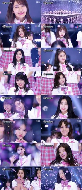 Bài báo: Center là Miyawaki Sakura... Produce 48 tiết lộ 'Nekkoya' lần đầu tiên 