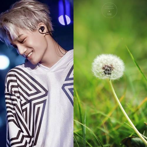 theqoo: Những bức ảnh phong cảnh được chụp bởi master fansite của EXO Kai