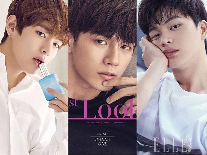 Pann: Sự thần th&aacute;nh của c&aacute;c nam idol sinh năm 1995