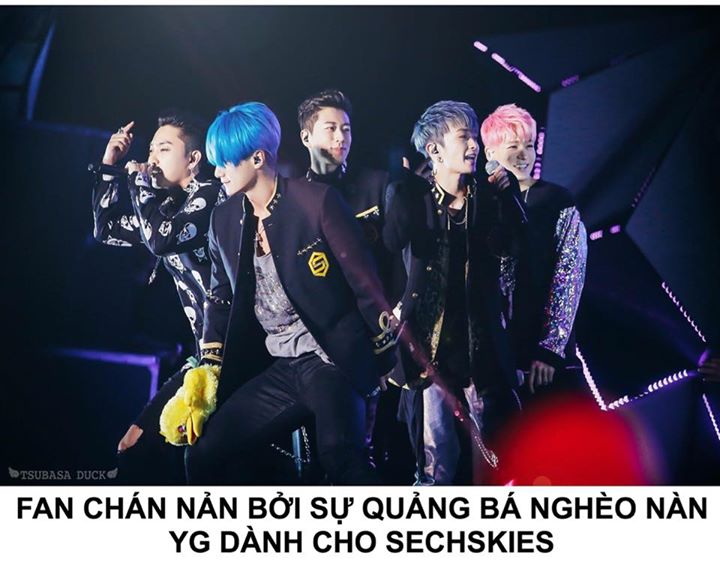 Năm nay ch&iacute;nh l&agrave; mốc đ&aacute;nh dấu kỉ niệm 20 năm debut của Sechskies. Để ăn mừng, Sechskies đ&atilde; chuẩn bị concert kỉ niệm v&agrave; một album mới. Fan rất mong chờ được thấy nh&oacute;m quảng b&aacute; một c&aacute;ch t&iacute;ch cực. Thật kh&ocirc;ng may, fan đ&atilde; cực k&igrave; thất vọng khi thời gian quảng b