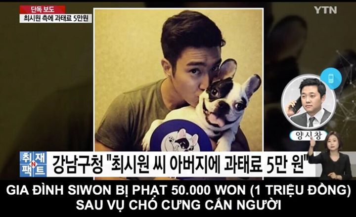 Theo bản tin ngày 25/10 của YTN News, bố của Super Junior Siwon đã bị Văn phòng quận Gangnam, Seoul phạt 50,000 won (1 triệu VND) vì thả rông Bugsy ở nơi công cộng mà không đeo xích.