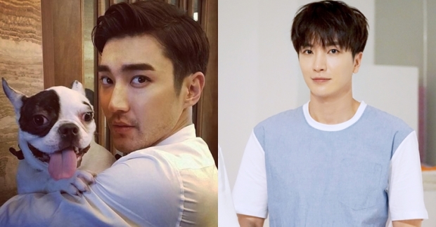 Leeteuk (Super Junior) cũng từng bị chó cưng của Siwon cắn trước khi nó gây ra cái chết cho người hàng xóm?