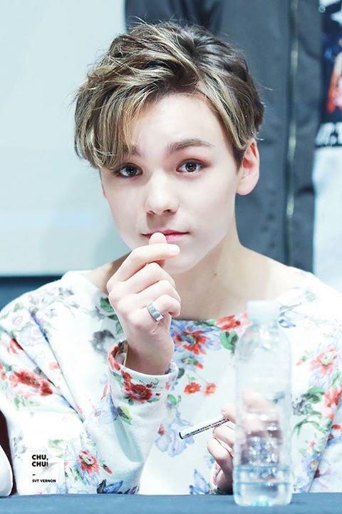 Pann: Vernon bản real