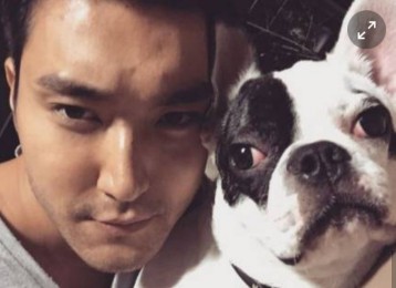 Pann: Con chó sát thủ của Choi Siwon sẽ thế nào