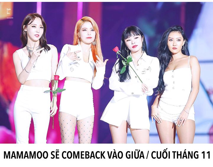 MAMAMOO báo danh trong party comeback tháng 11