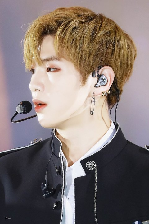 [Pann] Khuyên tai của Daniel ngày hôm nay