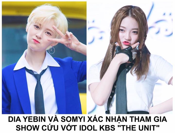 Đ&acirc;y l&agrave; quyết định được đưa ra sau khi suy nghĩ v&agrave; thảo luận với c&ocirc;ng ty, 2 c&ocirc; g&aacute;i cũng đ&atilde; th&ocirc;ng b&aacute;o với fan qua SNS. MBK Entertainment cho biết DIA sẽ hoạt động với 7 th&agrave;nh vi&ecirc;n khi Yebin v&agrave; Somyi tham gia "The Unit".