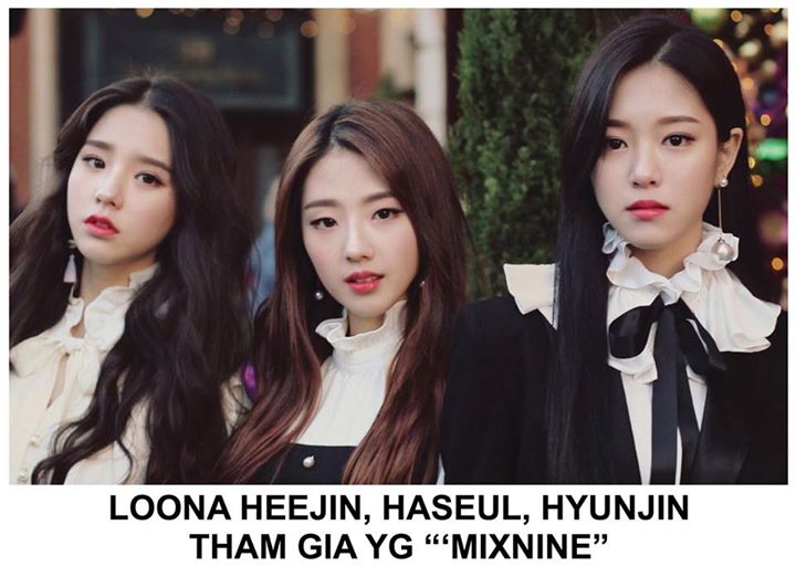 LOONA là nhóm nhạc nữ đang dần hé lộ thành viên của Blockberry Creative, công ty con thuộc Polaris Entertainment. Heejin (2000), Haseul (1997) và Hyunjin (2000) từng hoạt động cùng Vivi dưới tư cách nhóm nhỏ LOONA 1/3.