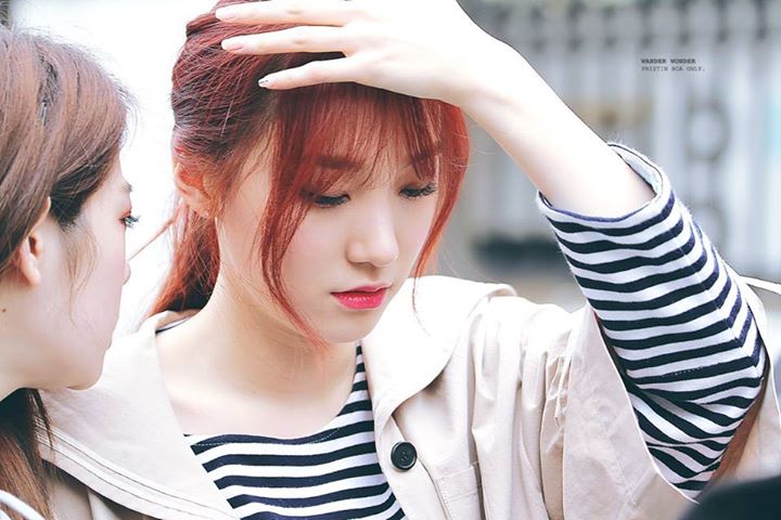 Pann: Cô Minkyung của Pledis không phải bạn gái của Dino...?  