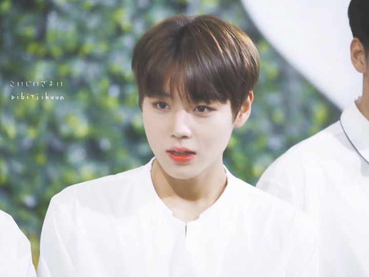 Pann: Mọi người đang ầm ĩ cả lên rằng mắt tớ trông giống mắt Park Jihoon ㅋㅋㅋㅋㅋ