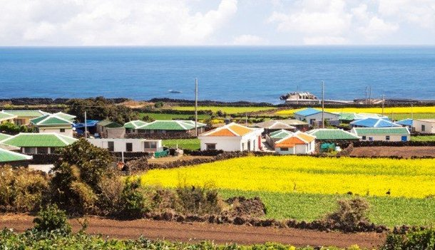 Bài báo: Lời khuyên từ 10 người từng mơ về cuộc sống như của 'Hyori's Home Stay' để rồi sau đó trở lại lục địa