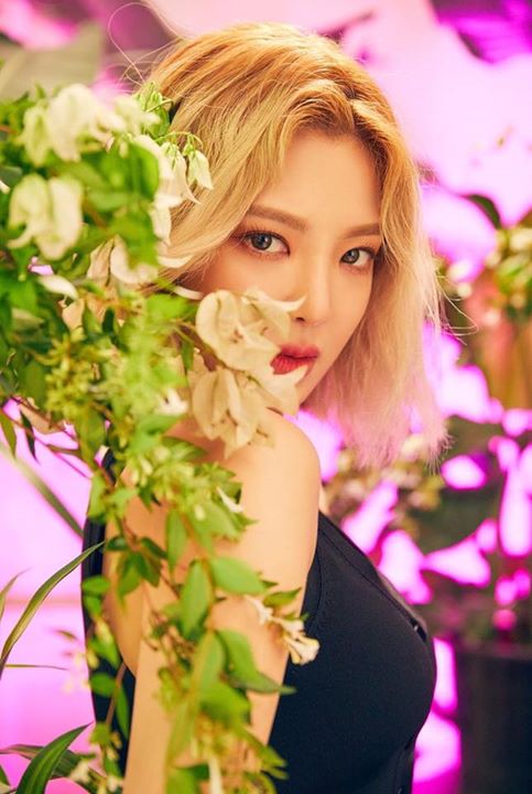 Theqoo: Bình luận mà Hyoyeon like trên Instagram